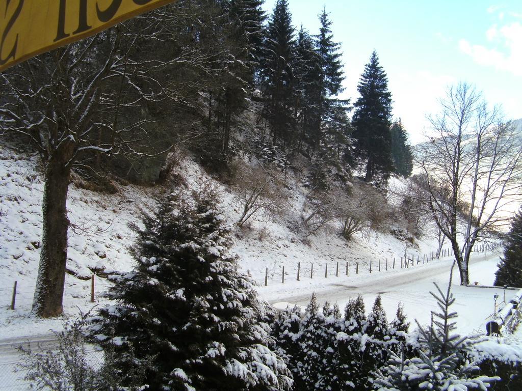 Apartament Paul-S Apartman Bad Hofgastein Zewnętrze zdjęcie